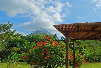 Outdoor Wedding Area